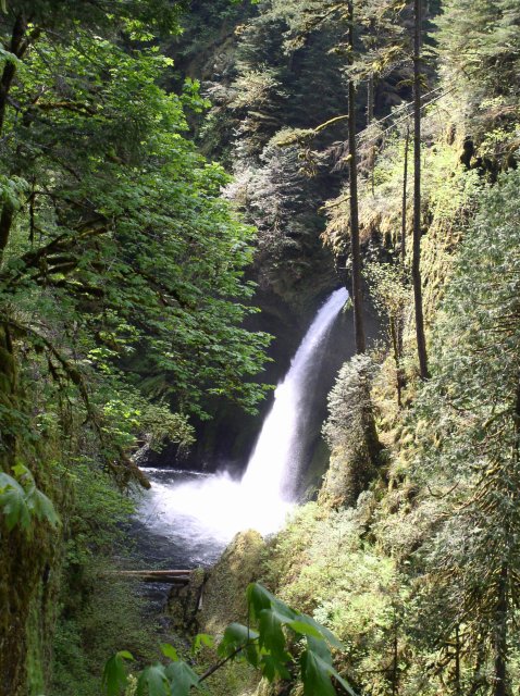 5.5.06 Eagle Creek 020 